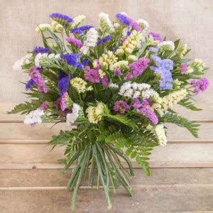 Fotografía Siempreviva